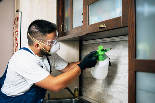 Best Pest Prevention Services  in Ten Mile Creek, MD